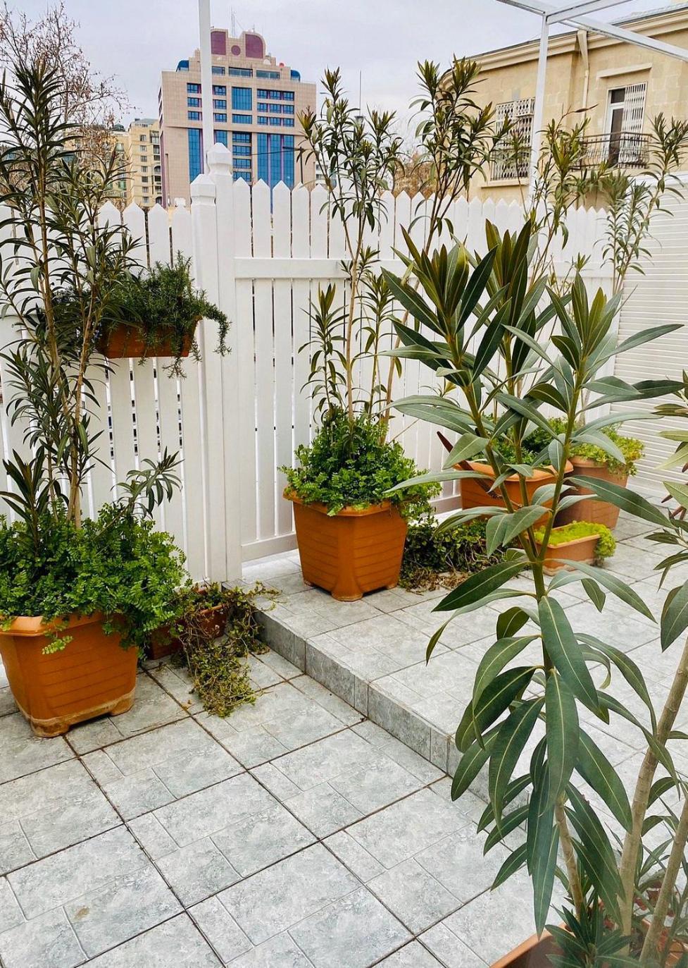 Zimmer Boutique Hotel Baku Exteriör bild